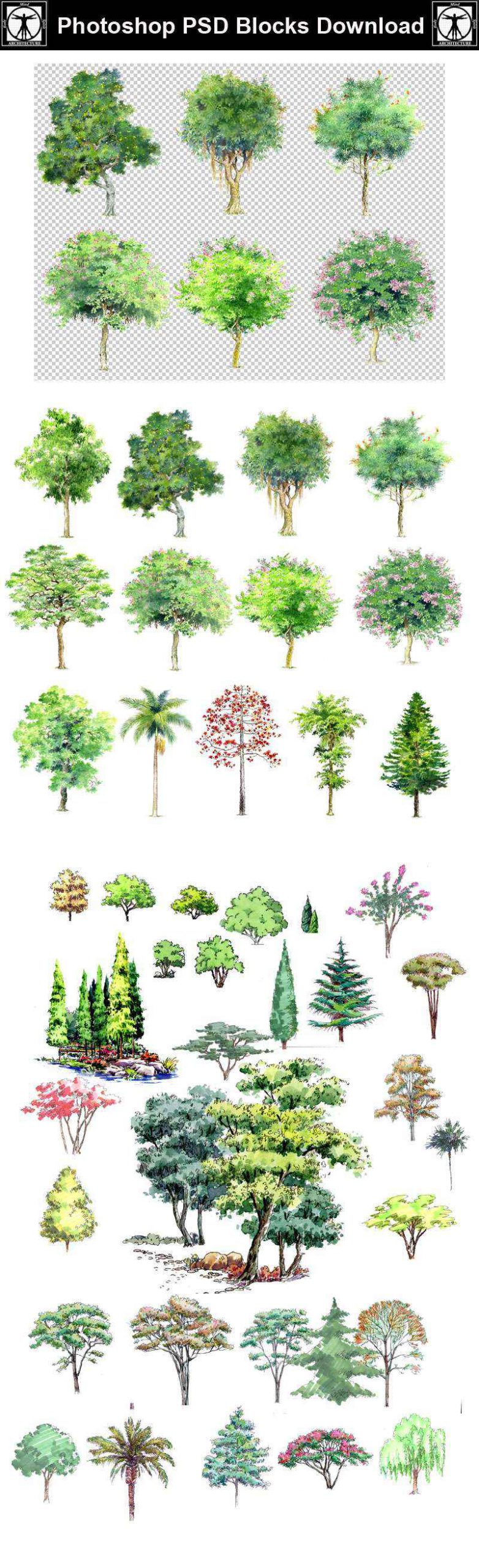 Hand-painted PSD Tree Blocks 1 - Image 2