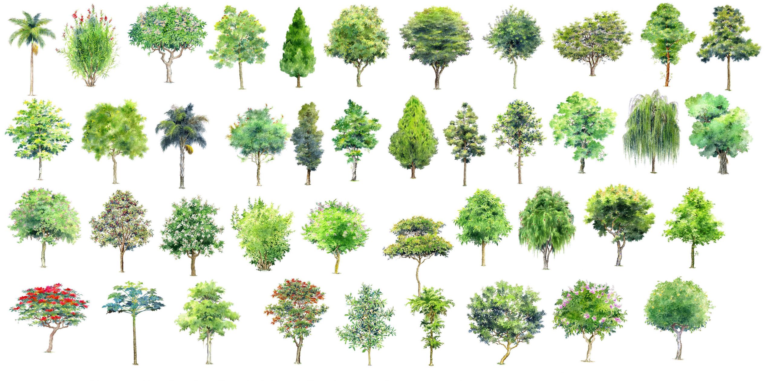 ★【 Hand painted Tree PSD Landscape Blocks 】Tree PSD Landscape Blocks V3 - Image 4